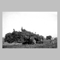 080-0114 Ernte bei Bauer Heinrich Borchert im Jahre 1932.jpg